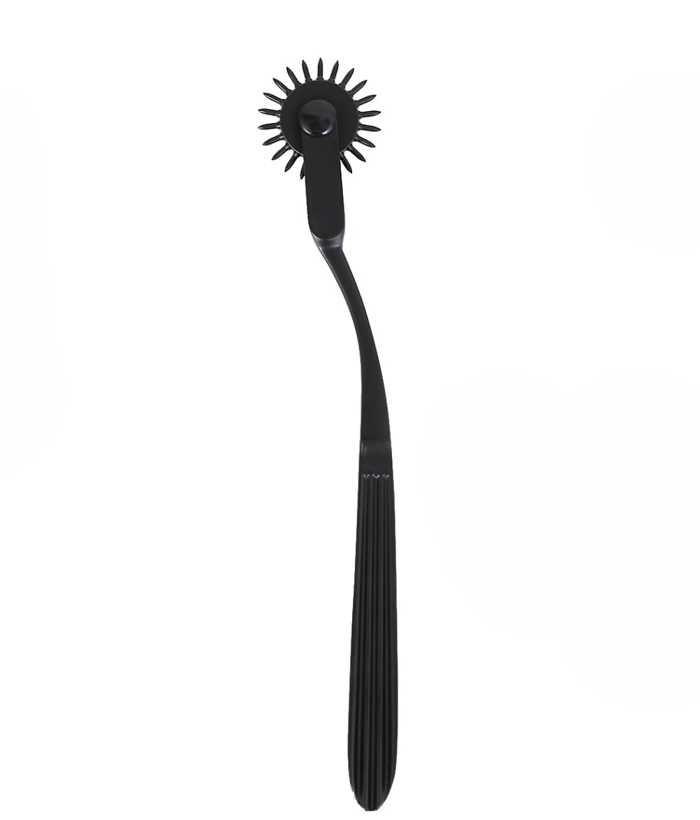 Sex Toys Women Lesbian BDSM ClitorisNipple Sex Toy Sex Slave Kit Fetish RolleWheel Needles Pinwheel Stainless SteelCosplay