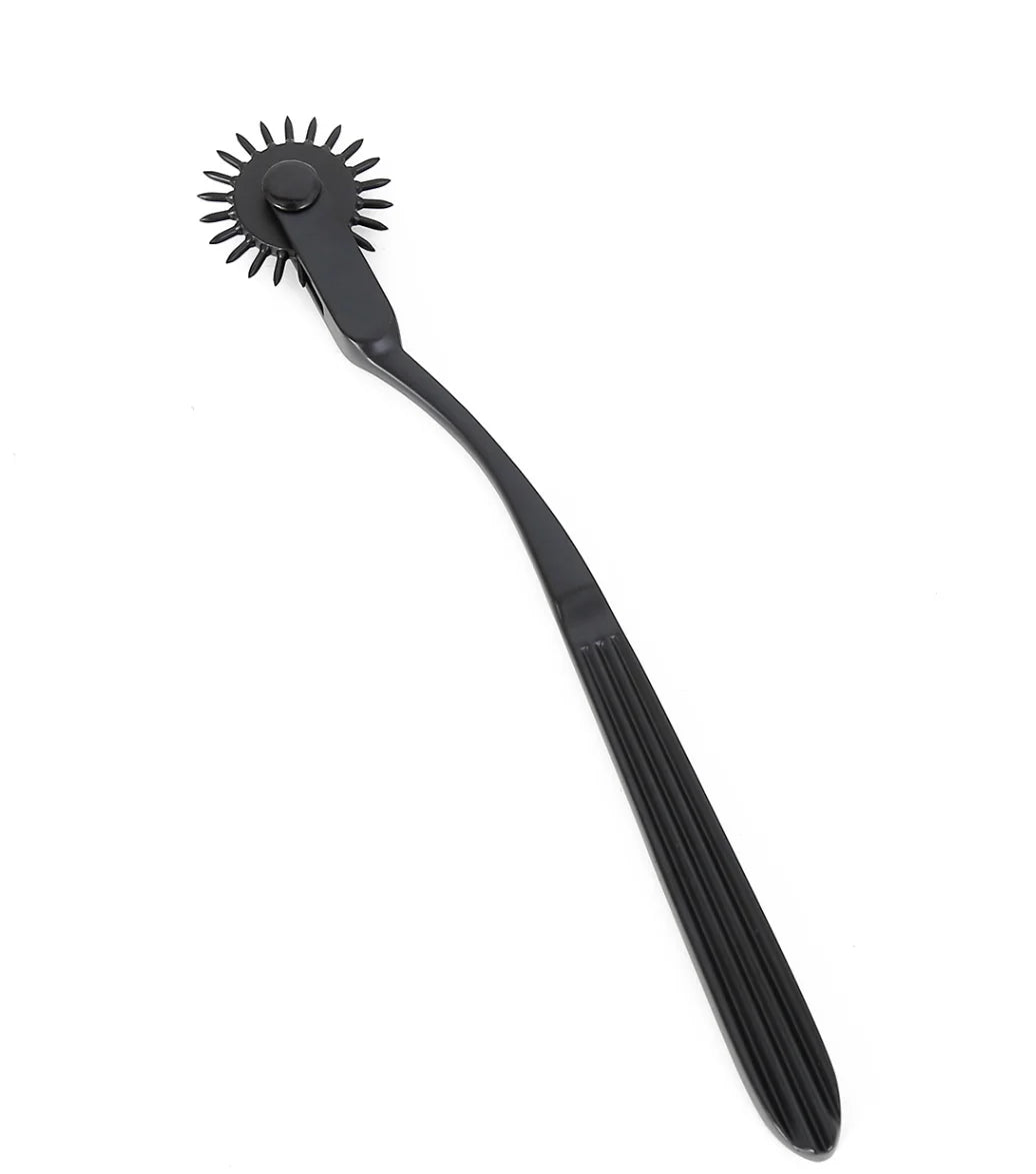 Sex Toys Women Lesbian BDSM ClitorisNipple Sex Toy Sex Slave Kit Fetish RolleWheel Needles Pinwheel Stainless SteelCosplay