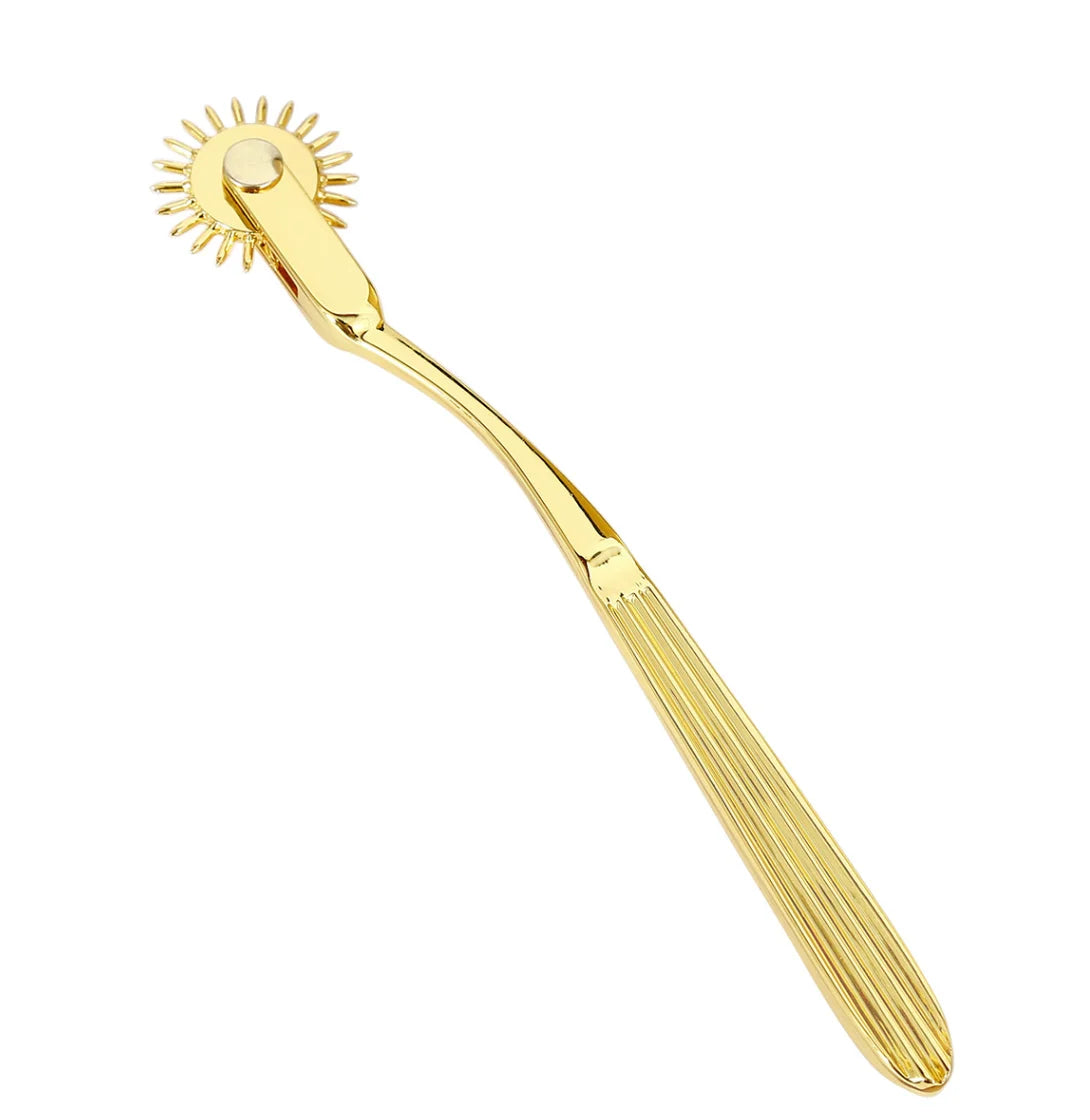 Sex Toys Women Lesbian BDSM ClitorisNipple Sex Toy Sex Slave Kit Fetish RolleWheel Needles Pinwheel Stainless SteelCosplay